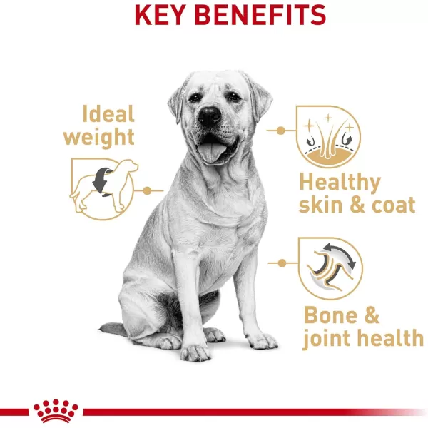 Royal Canin Labrador Retriever Adult Dry Dog Food 30 lb bagChicken