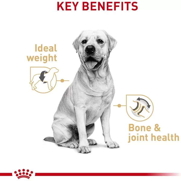 Royal Canin Labrador Retriever Loaf in Sauce Canned Dog Food 135 oz can 12countChicken  Pork  Wheat