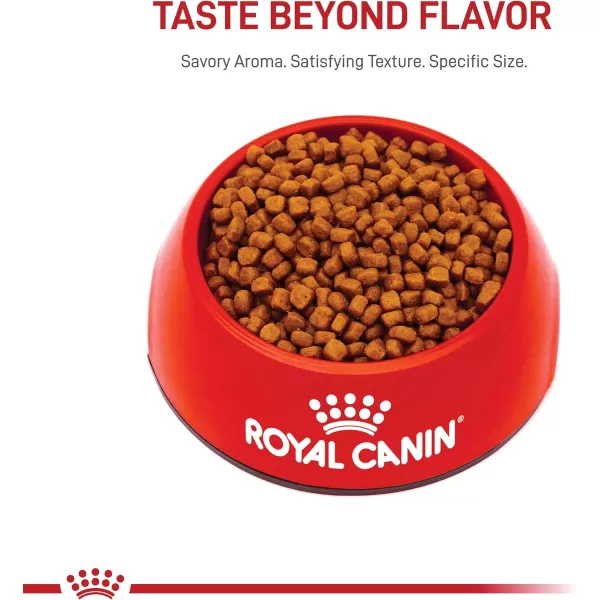 Royal Canin Persian Breed Dry Kitten Food 3 lb bagChicken