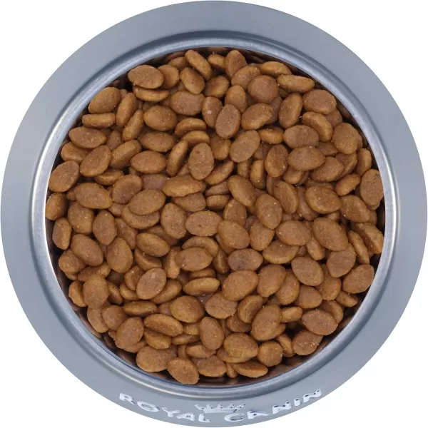 Royal Canin Persian Breed Loaf in Sauce Adult Wet Cat Food 3 oz can 4pack3 Pound Pack of 1