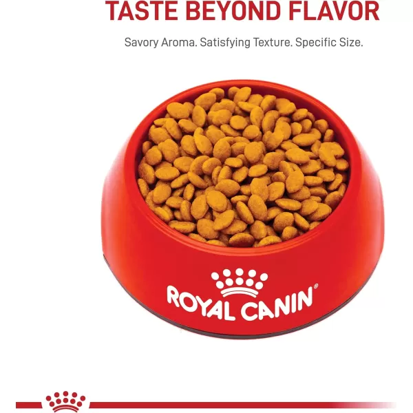 Royal Canin Persian Breed Loaf in Sauce Adult Wet Cat Food 3 oz can 4pack7 Pound Pack of 1
