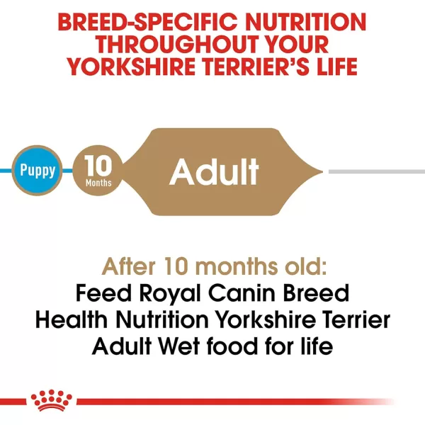 Royal Canin Yorkshire Terrier Adult Breed Specific Wet Dog Food 3 oz can 4pack3 Ounce Pack of 24