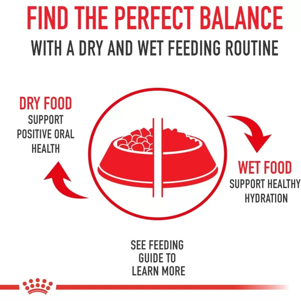 Royal Canin Yorkshire Terrier Adult Breed Specific Wet Dog Food 3 oz can 4pack3 Ounce Pack of 4