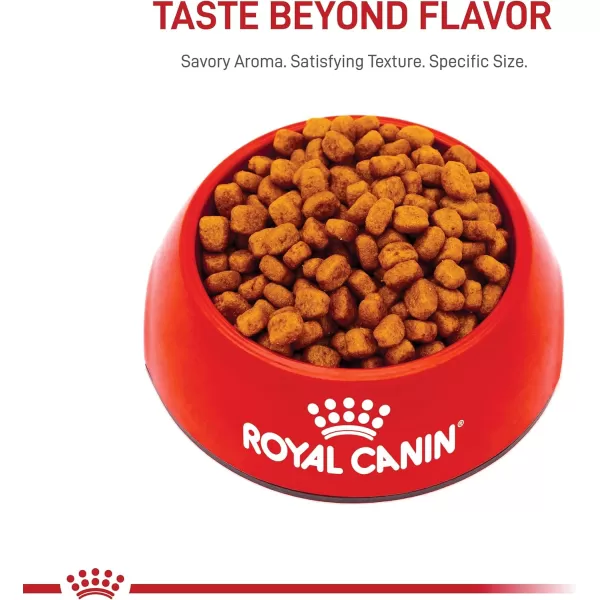 Royal Canin Yorkshire Terrier Adult Dry Dog Food 10 lb bag10 Pound Pack of 1