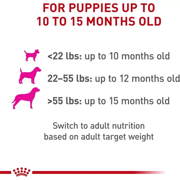 Royal Canin Canine Health Nutrition Puppy Canned Dog Food 135 oz can 6packChicken
