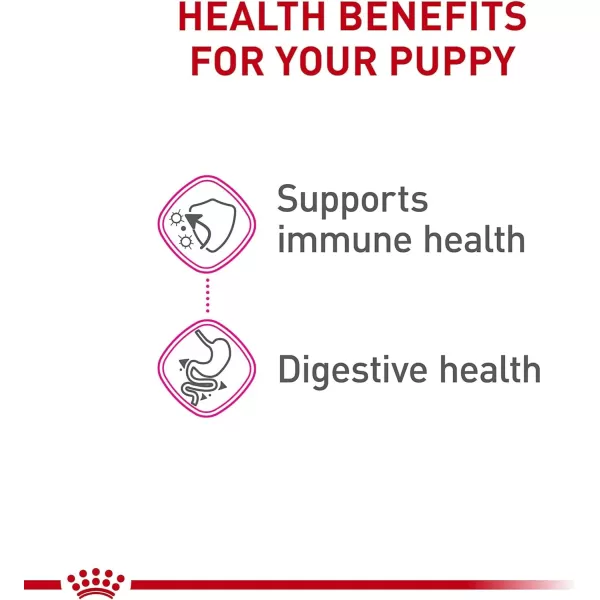 Royal Canin Canine Health Nutrition Puppy Canned Dog Food 135 oz can 6packChicken