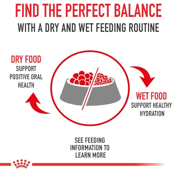 Royal Canin Large Adult 5 Dry Dog Food for Older Dogs 30 lb bag35 Pound Pack of 1