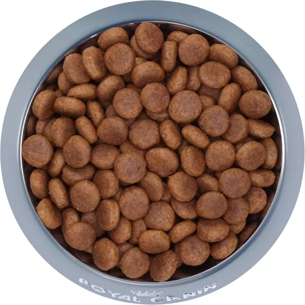 Royal Canin Large Adult 5 Dry Dog Food for Older Dogs 30 lb bag6 Pound Pack of 1
