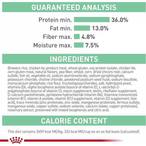 Royal Canin Digestive Care Dry Cat Food 6 lb bag3 Pound Pack of 1