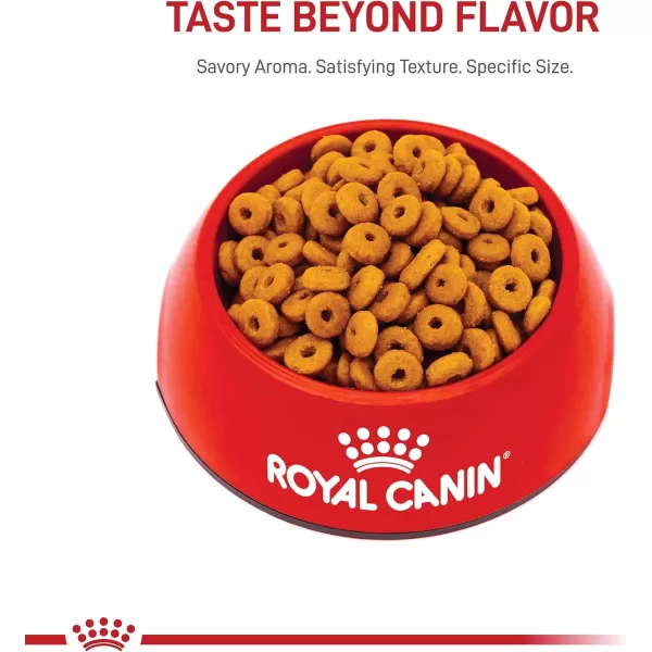 Royal Canin Digestive Care Dry Cat Food 6 lb bag3 Pound Pack of 1