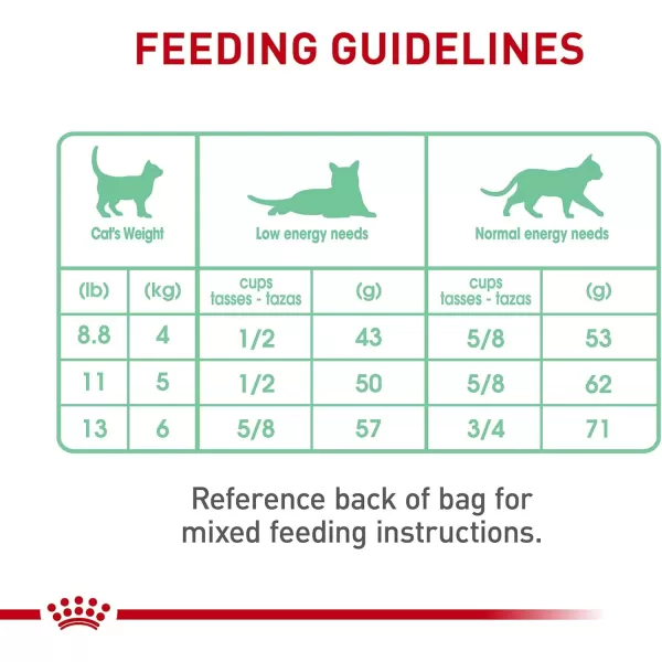 Royal Canin Digestive Care Dry Cat Food 6 lb bag3 Pound Pack of 1