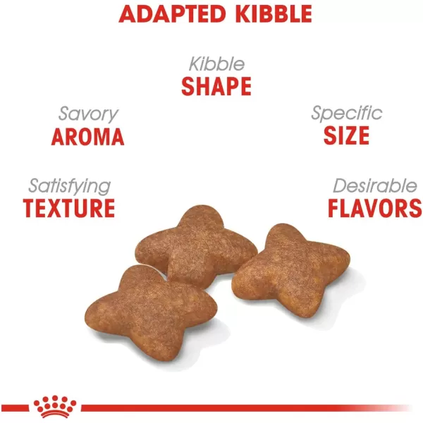Royal Canin Small Breed Adult Dry Dog Food 25 lb bag13 piece set