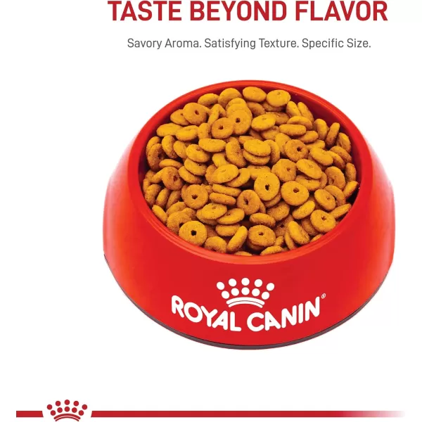 Royal Canin Feline Weight Care Adult Dry Cat Food 14 lb bag14 Pound Pack of 1