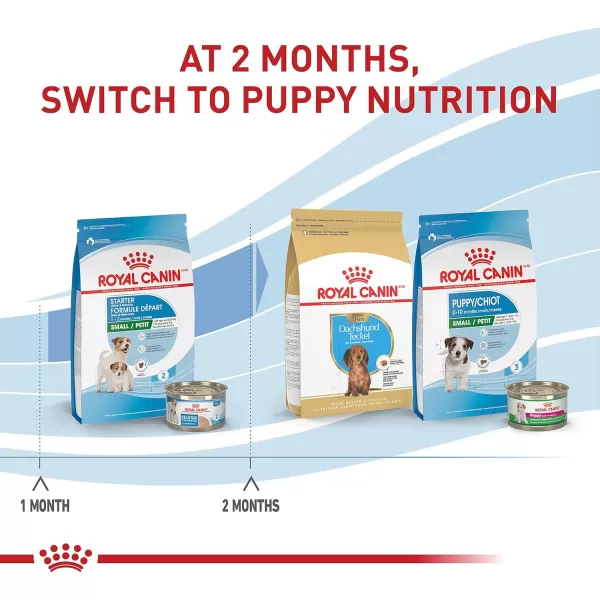 Royal Canin Size Health Nutrition Small Starter Mother ampamp Babydog Dry Dog Food 14 lb bag14 Pound Pack of 1