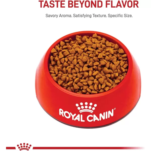 Royal Canin Size Health Nutrition Small Starter Mother ampamp Babydog Dry Dog Food 14 lb bag14 Pound Pack of 1