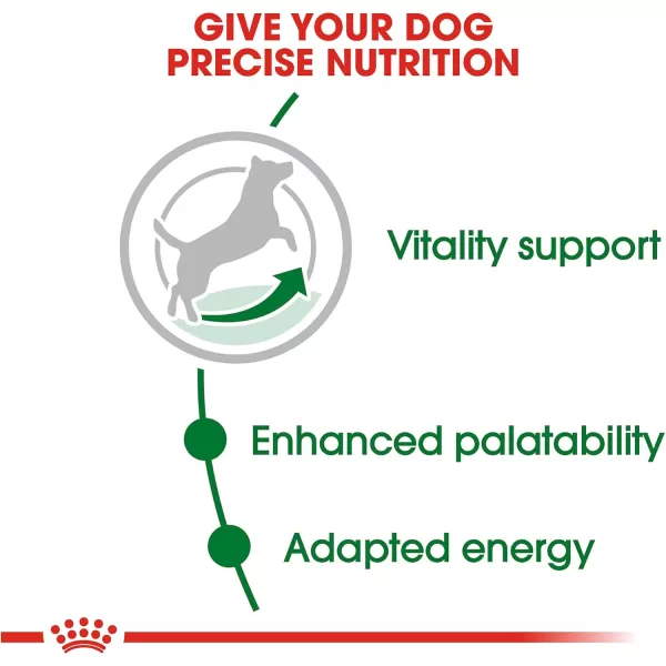 Royal Canin Small Adult 8 Dry Dog Food 13 lb bagChicken