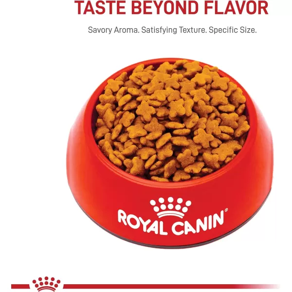 Royal Canin Small Adult 8 Dry Dog Food 13 lb bagChicken