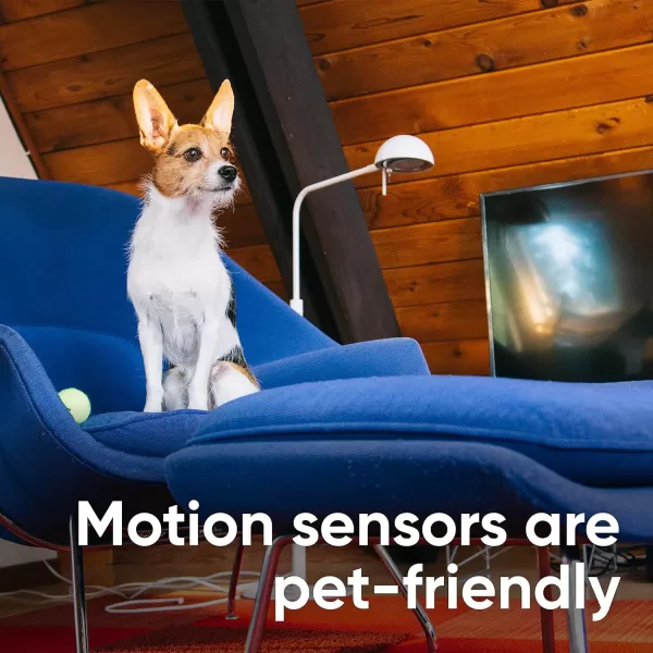 Wyze Leak Sensor 3 Pack and Single ProbeCore Kit