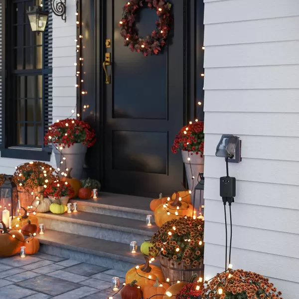 Wyze Plug Outdoor Dual Outlets Energy Monitoring IP64 24GHz WiFi Smart Plug Works with Alexa Google Assistant IFTTT No Hub Required Black  A Certified for Humans Device