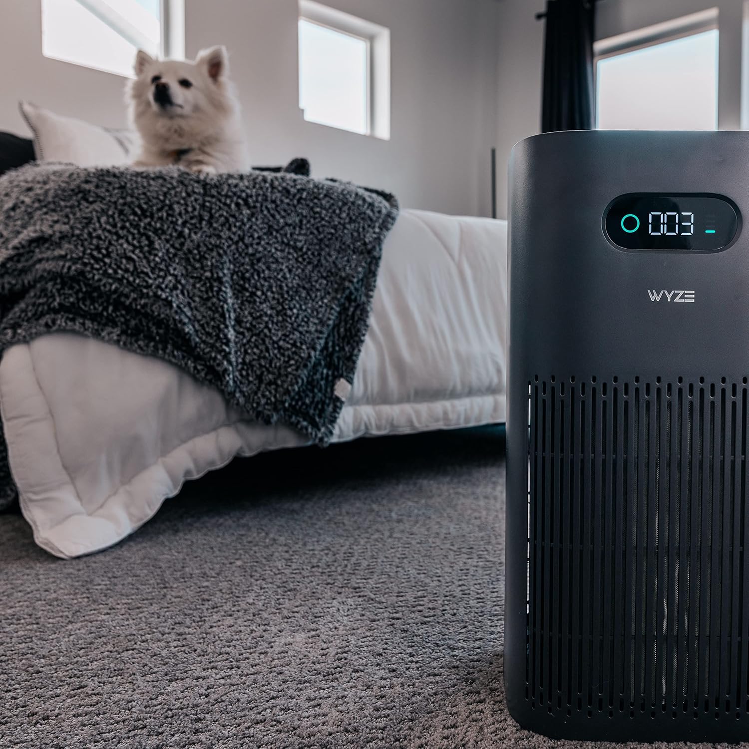 Wyze Air Purifier with Formaldehyde Filter Premium for Home 21db Quiet HEPA 13 Elimination of common pollutants Remove formaldehyde Odors Smoke Pollen Dust Smart WiFi Alexa Google BlackStandard