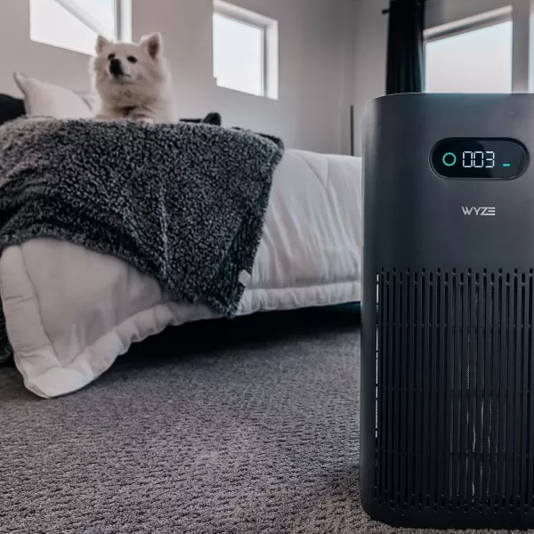 Wyze Air Purifier with Formaldehyde Filter Premium for Home 21db Quiet HEPA 13 Elimination of common pollutants Remove formaldehyde Odors Smoke Pollen Dust Smart WiFi Alexa Google BlackSpecial
