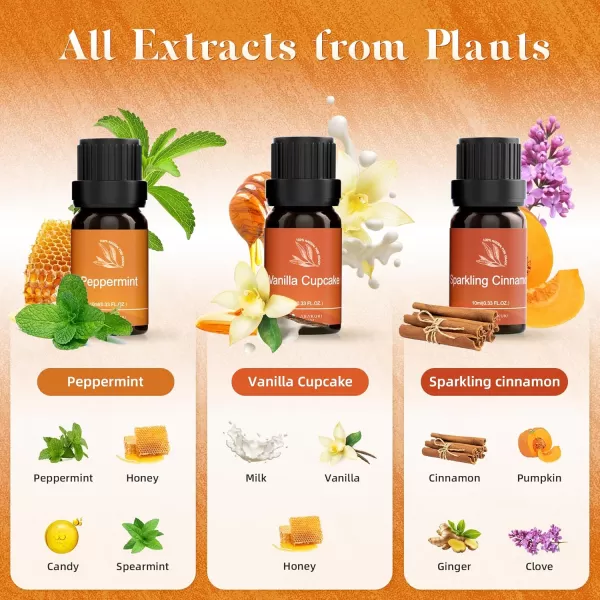 ASAKUKI Essential Oil Blends Essential Oils Set for Diffusers for Home WellBeing Kit Calming Dreams Breathe Relaxing Mood Fresh Air Aromatherapy Oils for Humidifiers Massage 6x10mlWarm Bliss