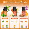imageASAKUKI Essential Oils Set  610ml CologneInspired Unisex Fragrance Oils for Diffusers  Elegant Clean and Confident Scents Loved by Women and MenWarm Bliss