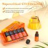 imageASAKUKI Essential Oils Set  610ml CologneInspired Unisex Fragrance Oils for Diffusers  Elegant Clean and Confident Scents Loved by Women and MenWarm Bliss
