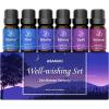 imageASAKUKI Essential Oils Set  610ml CologneInspired Unisex Fragrance Oils for Diffusers  Elegant Clean and Confident Scents Loved by Women and MenWellwishing