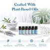 image:imageASAKUKI Fresh States Essential Oil Set Clean Home Scents for Diffusers  CleanInspired Home Scents Fresh Laundry Aroma Designed for DiffusersampWaterless Diffusers GiftReady Collection