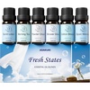 image:imageASAKUKI Fresh States Essential Oil Set Clean Home Scents for Diffusers  CleanInspired Home Scents Fresh Laundry Aroma Designed for DiffusersampWaterless Diffusers GiftReady Collection