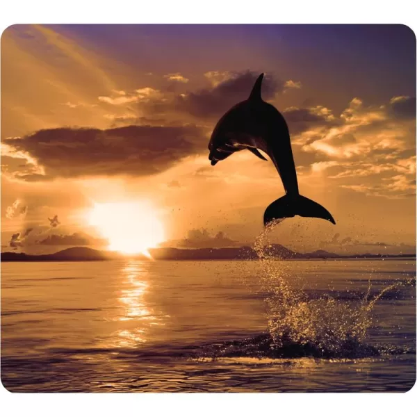 Fellowes Recycled Optical Mousepad  Beach Chairs 5909501Dolphin Jumping