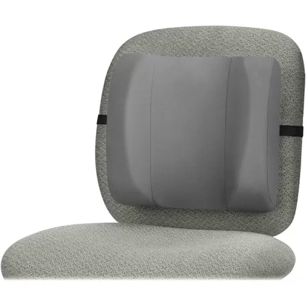 Fellowes Standard Backrest Graphite 91926