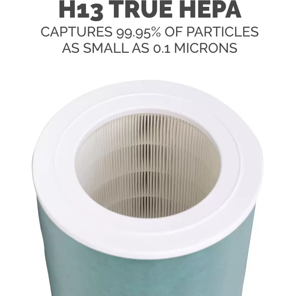 Fellowes Genuine AeraMax SE Combo True HEPACarbon H13 Air Filter for Large Room Air Purifier 13 x 10 In 1 YEAR FILTER  9787801
