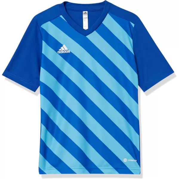 adidas Kids Entrada 22 Graphic JerseyTeam Royal BlueApp Sky Rush