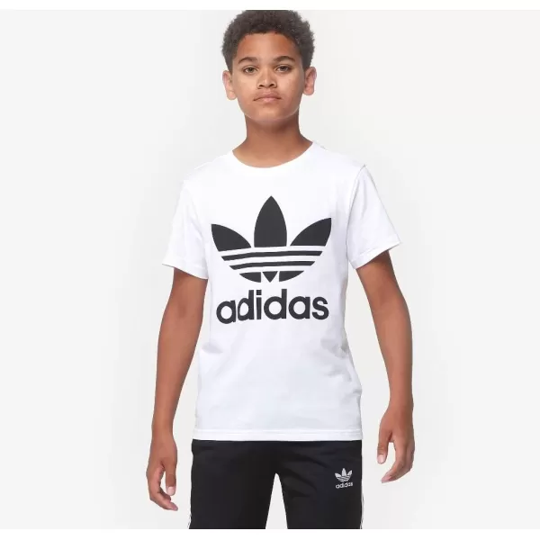 imageadidas Originals Mens Adicolor Classics Trefoil TShirtWhite PaleBlack