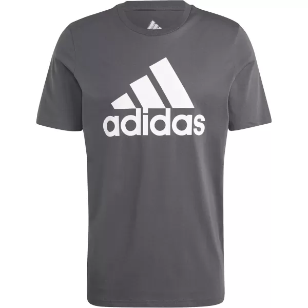 imageadidas Mens Essentials Single Jersey Big Logo TShirtDgh Solid Grey