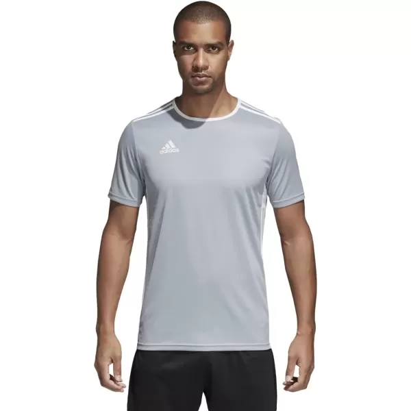 imageadidas Mens Entrada 18 Soccer JerseyLight GreyWhite