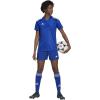 Team Royal Blue/White