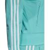 imageadidas Originals Womens Adicolor Classics Firebird Track JacketSemi Mint Rush