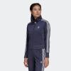 imageadidas Originals Womens Adicolor Classics Firebird Track JacketShadow Navy