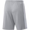 imageadidas Mens Squadra 21 ShortsTeam Light GreyWhite