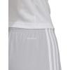 imageadidas Mens Squadra 21 ShortsTeam Light GreyWhite