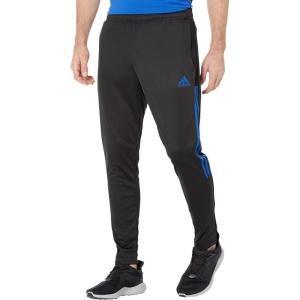 imageadidas Mens Tiro 21 Track PantsBlackTeam Royal Blue