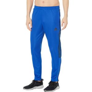 imageadidas Mens Tiro 21 Track PantsTeam Royal BlueBlack