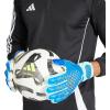 imageadidas Adult Match Fingersave Predator Goalie GlovesBright RoyalBliss BlueWhite