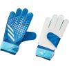 imageadidas UnisexAdult Training Predator Goalie GlovesBright RoyalBliss BlueWhite