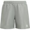 imageadidas Boys Classic Badge of Sport Swim ShortsSilver GreenWhite