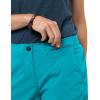imageJack Wolfskin Mens Desert Valley Shorts With Uv ProtectionDark Aqua