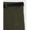imageJack Wolfskin Mens Hoggar Shorts Dark MossDark Moss